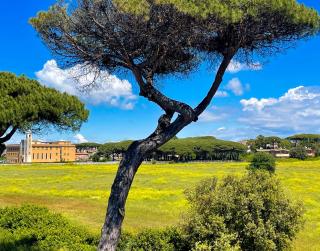 FELYX APARTMENT - Bright, Spacious, and 100 mt from the waves - Lavinio Mare - 7