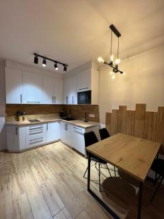 New Apartaments in old town - Dobrovelychkivka - 0