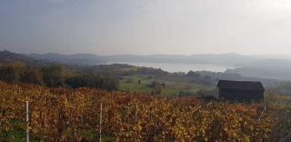 The Lake House - Viverone - 6