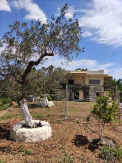 Porto Heli - Detached house for families & group of friends - Porto Heli - 9