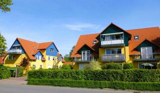 Friedensstra_e_ 43 Wohnung 2 - Zingst - 0