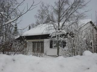 Ferienhaus Rehpfad im Feriendorf Reichenbach 13 - Nesselwang - 3