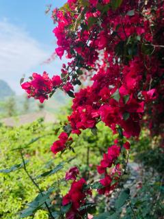 So H'mong Homestay - Bắc Hà - 7