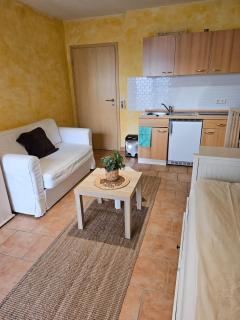 Studiowohnung zentral in Geisenheim 1-2 Personen - Geisenheim - 0