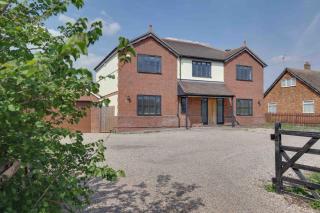 Wayside Warren Harlow - 7