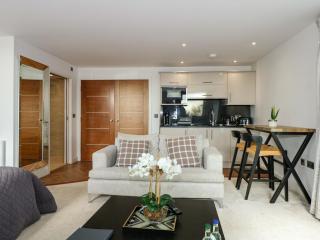 Dafarn Newydd Studio - 6