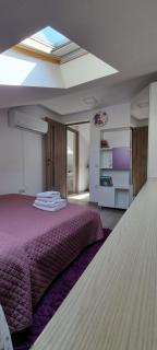 Downtown Premium - Brasov - 9