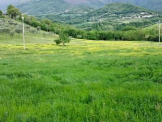 En&Gi Holiday Home - - 5