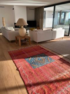 Contemporary Villa In Southern Corsica - 1