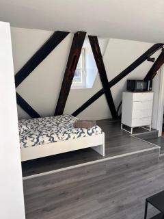 STRASBOURG : STUDIO HYPER CENTRE - Strasburgo - 0