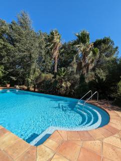 La Maison du Jardin de Gassin Piscine, Calme et nature - Gassin - 6