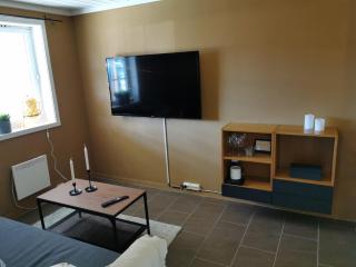 Cozy apartment close to many experiences - - 0