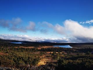 Cozy apartment close to many experiences -  - 6