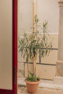 Luxury Medieval Residence - 2