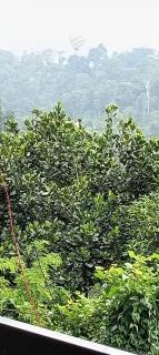 Zira Homestay - Munnar - 6