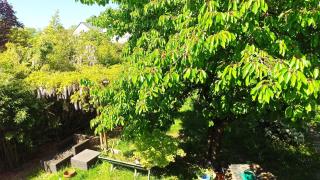 Bobby's Beds - Les Ponts-de-Cé - 8