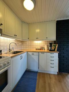Retro Cabin In Scenic Sinnes Location - Tjørhom - 4