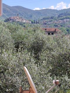 Grazioso monolocale - Albiano - 8