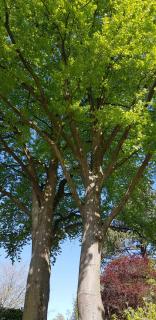 Schoen - Ferienwohnung Glücksand - 7