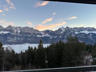 Apartmenthaus Gauenpark - CharmingStay - Flumserberg - 1