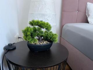 Bequemes Einzelzimmer im Herzen von Kassel - 8