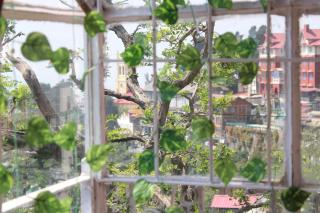 Nani House The mall road - 2