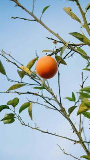 Belci City House - 1