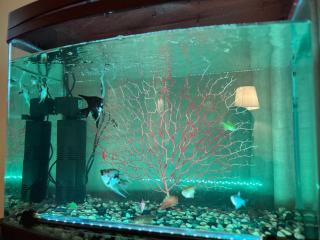 شقة بغرفتين وصالة مودرن وراقية - 7