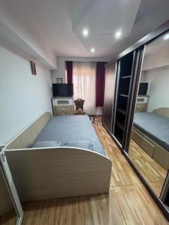 LC APARTMENTS Central Ploiești - Ploieşti - 8