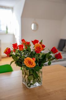 Ferienwohnung Charlotte Sonnenschein - Friedrichshafen - 6