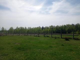 Domek kempingowy Przy Siole Budy - Budy - 6