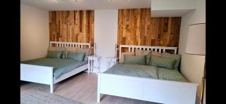 Wunderschöne und zentrumsnahe Ferienwohnung 75 qm - Friburgo in Brisgovia - 9