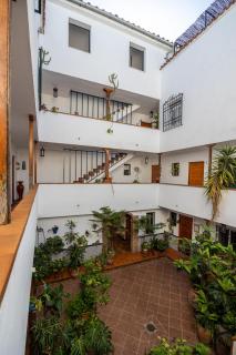Las Flores de San Basilio - Córdoba - 9