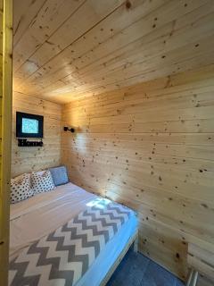 Cabin 16 - - 3