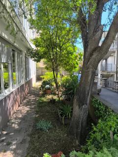 Sunny apartments - Budva - 7