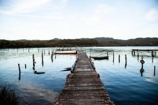 Bushy Summers - A Nurturing Bayside Shack - Strahan - 5