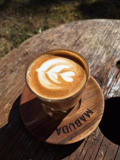 Mabuda Guest Farm - 1