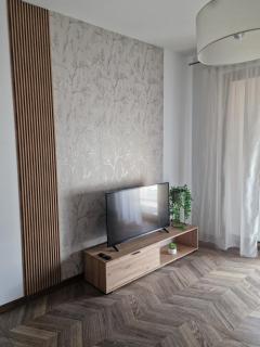 Apartament Jagiełły Park Olsztynek - Olsztynek - 2
