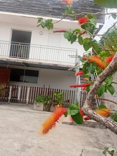 Maison agréable à Rivière-Pilote avec balcon - Rivière-Pilote - 1