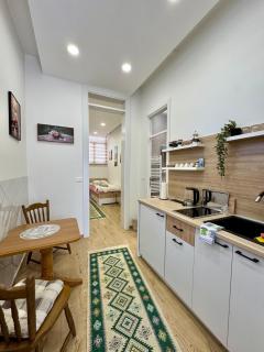 Apartman Potoklinica 2 - Sarajevo - 9