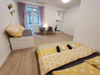 Star Apartments Brno #3C315 by Starbnb EU - Golčŭv Jeníkov - 4