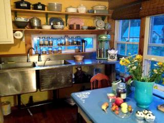 Delightful Guest House Cabin in the Adirondacks - North River - 7