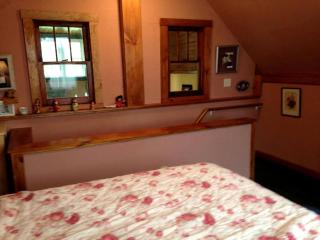 Delightful Guest House Cabin in the Adirondacks - North River - 4