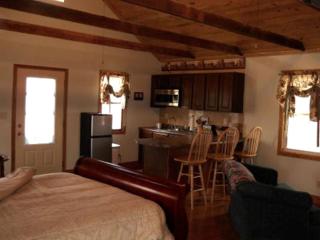 Romantic Rental for Honeymoons near Milwaukee, Wisconsin - Franklin - 9