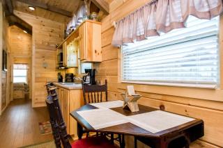 Peaceful Cabin Close to Tryon and the Foothills near Lake Lure in Mill Springs, North Carolina - Mill Spring - 4