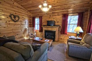 Romantic Forest Cabin Getaway near Cantwell Cliffs in Logan, Ohio - Logan - 8