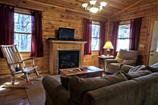 Romantic Forest Cabin Getaway near Cantwell Cliffs in Logan, Ohio - Logan - 7