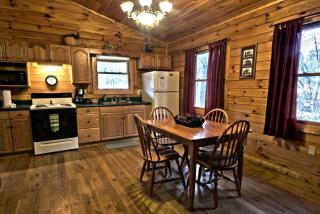 Romantic Forest Cabin Getaway near Cantwell Cliffs in Logan, Ohio - Logan - 1