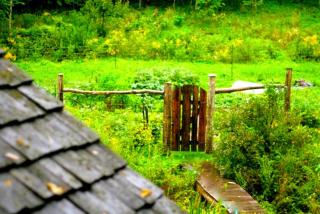 Rustic Norwegian-Style Log Cabin Rental near the Upper Iowa River in Decorah, Iowa - Decorah - 7