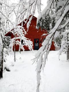 Rustic Cabin Rental with Contemporary Comforts Overlooking Vermont's Green Mountains - Middlebury - 3